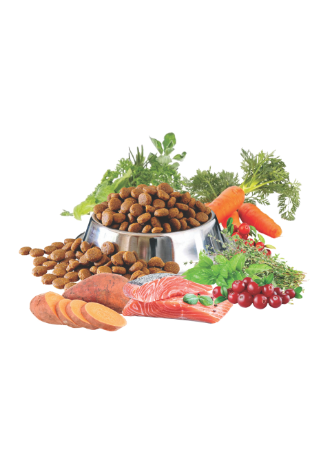 Nero PURE Adult verse Zalm