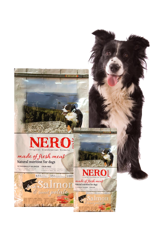 Pure: graanvrij hondenvoer - Nero Gold