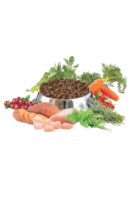 Proefpakket hond Nero Pure