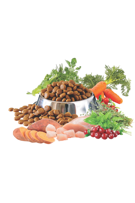 Proefpakket hond Nero Pure