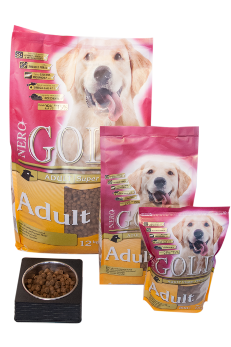 Nero Gold Hond Adult