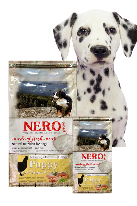 Nero PURE Puppy