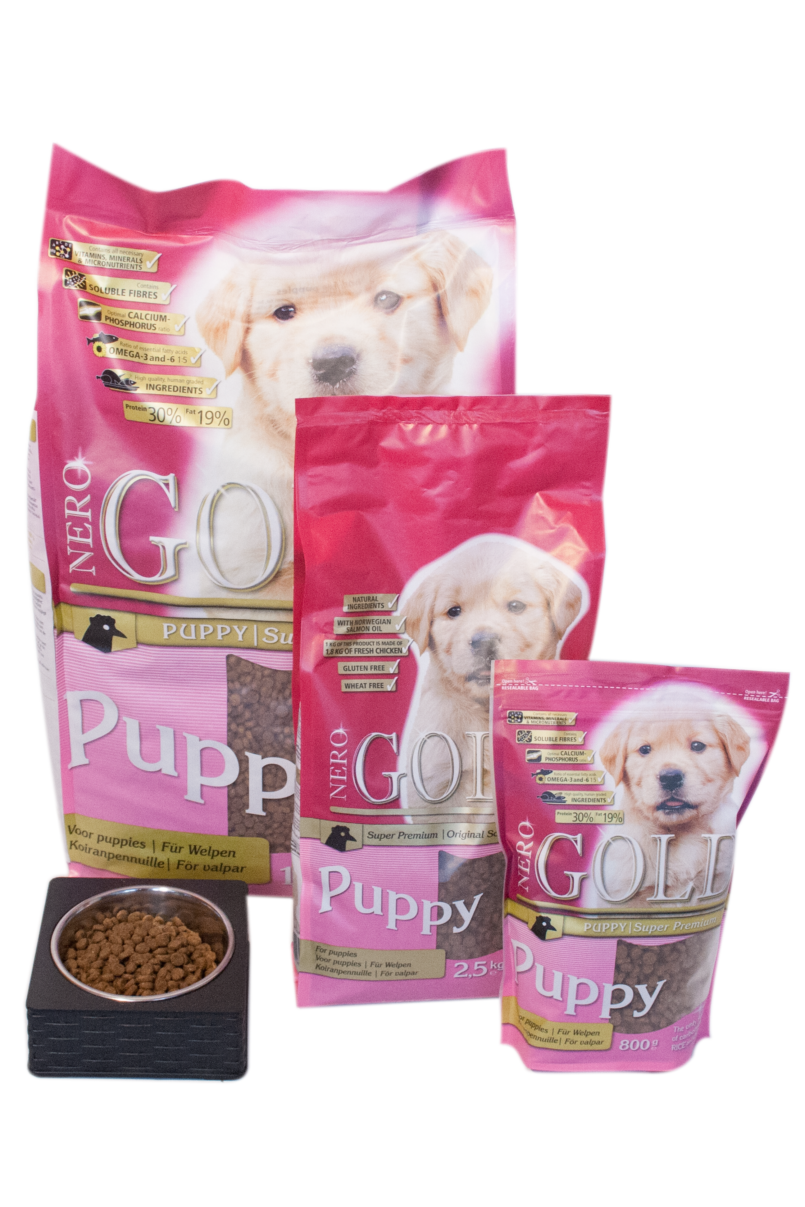 Nero Gold Puppy