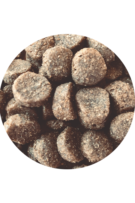 Nero Gold Hond Rendier & Aardappel