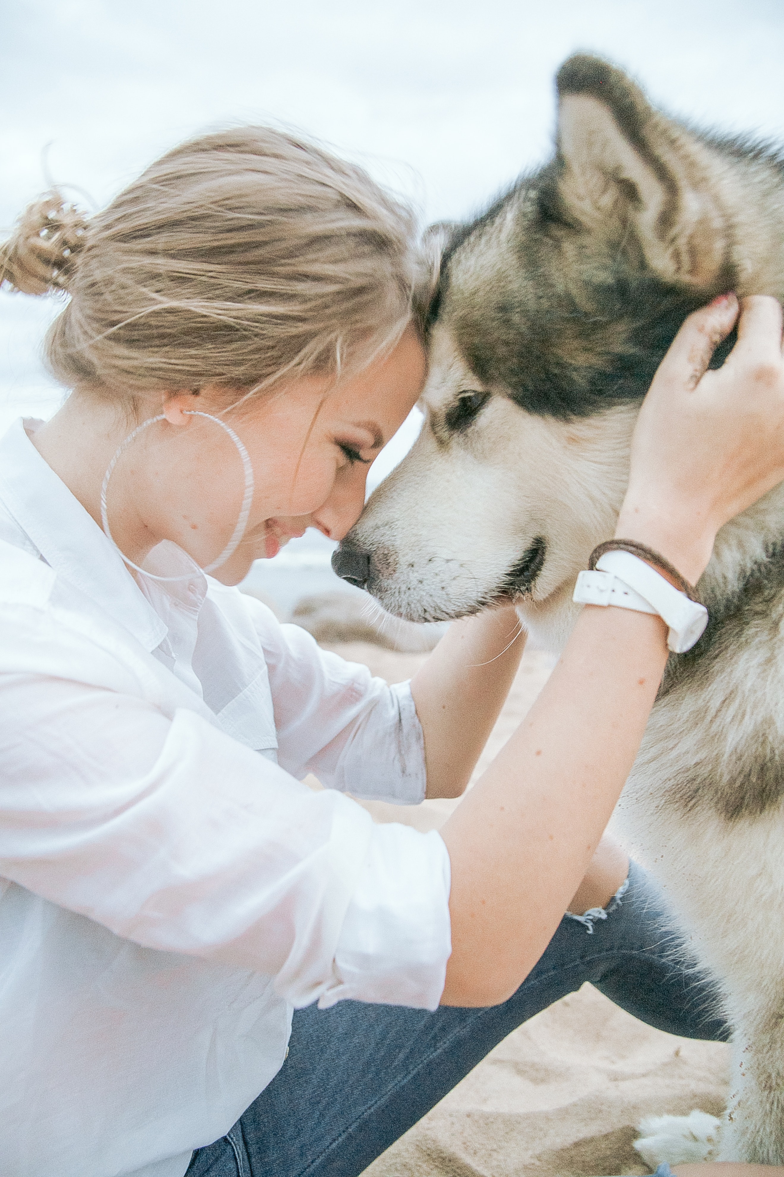 a-beautiful-dog-breed-with-a-thick-coat-3671235